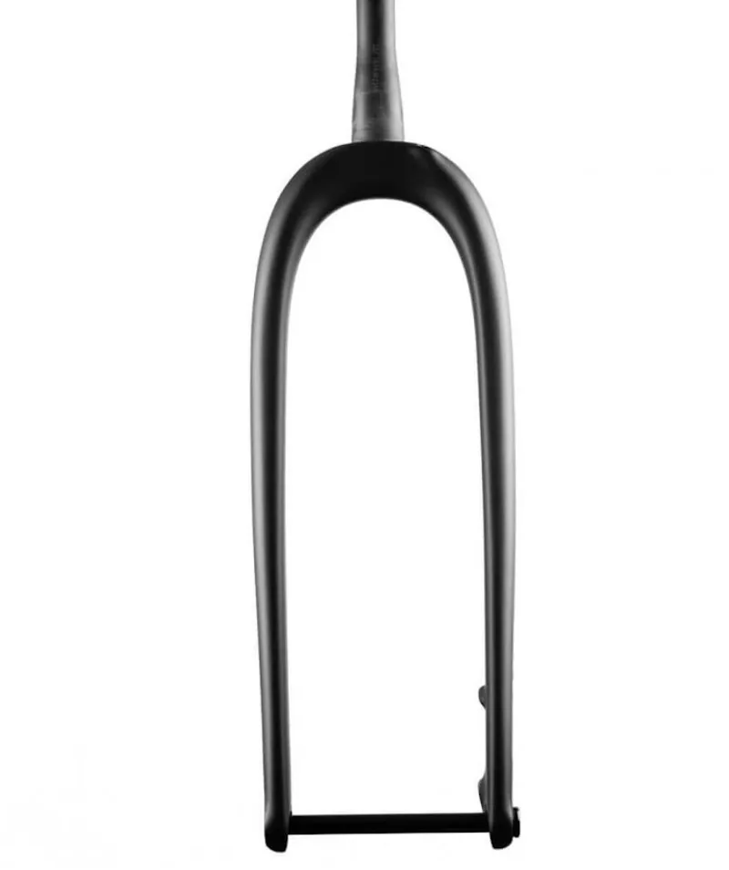 Enve Carbon Fat Bike Disc Fork 50mm Rake Black-2