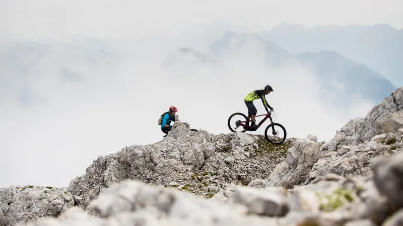 Focus Sam2 Ltd Electric Bike 2018 Grey/Blue-2