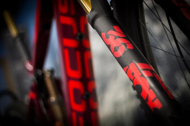 Focus Sam2 Pro Electric Bike 2018 Burgundy/Red-4