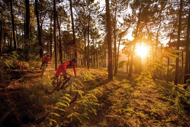 Focus Jam2 Plus Electric Bike 2017 Grey/Blue-3