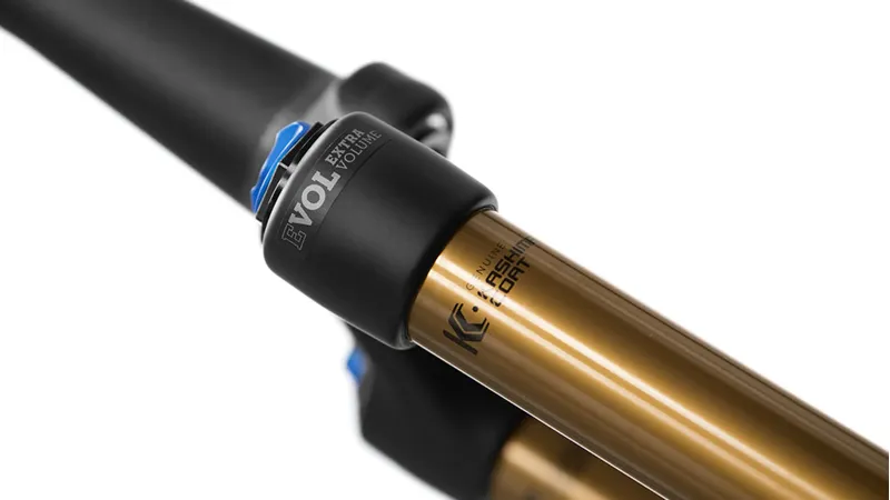 Fox 34 Float Factory FIT4 29er Fork 2019 Black-2