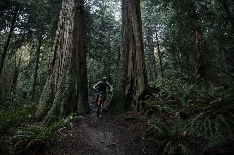 Fox 34 Step Cast Float Factory FIT4 27.5 Fork 2019 Orange-7