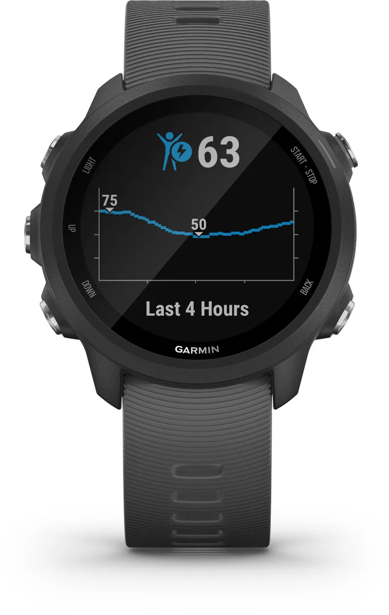 Garmin Forerunner 245 SmartWatch Slate-1