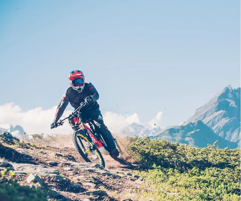 Haibike XDURO DWNHLL 8.0 27.5 Electric Bike 2017 Silver/Grey/Yellow-1