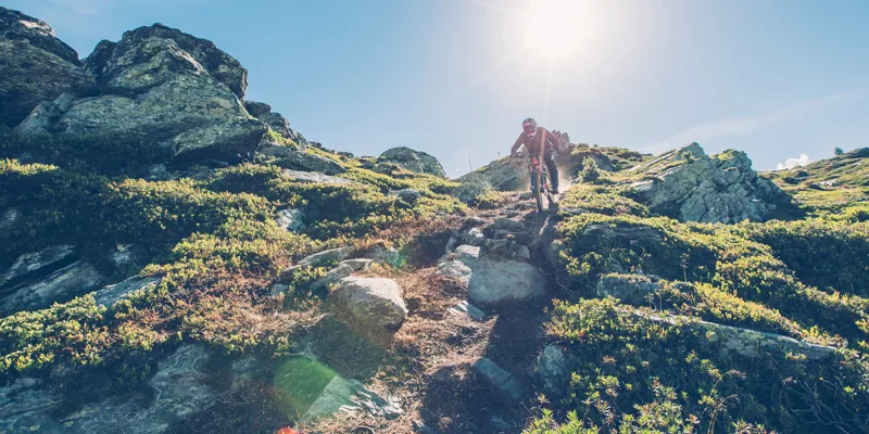 Haibike XDURO DWNHLL 8.0 27.5 Electric Bike 2017 Silver/Grey/Yellow-6