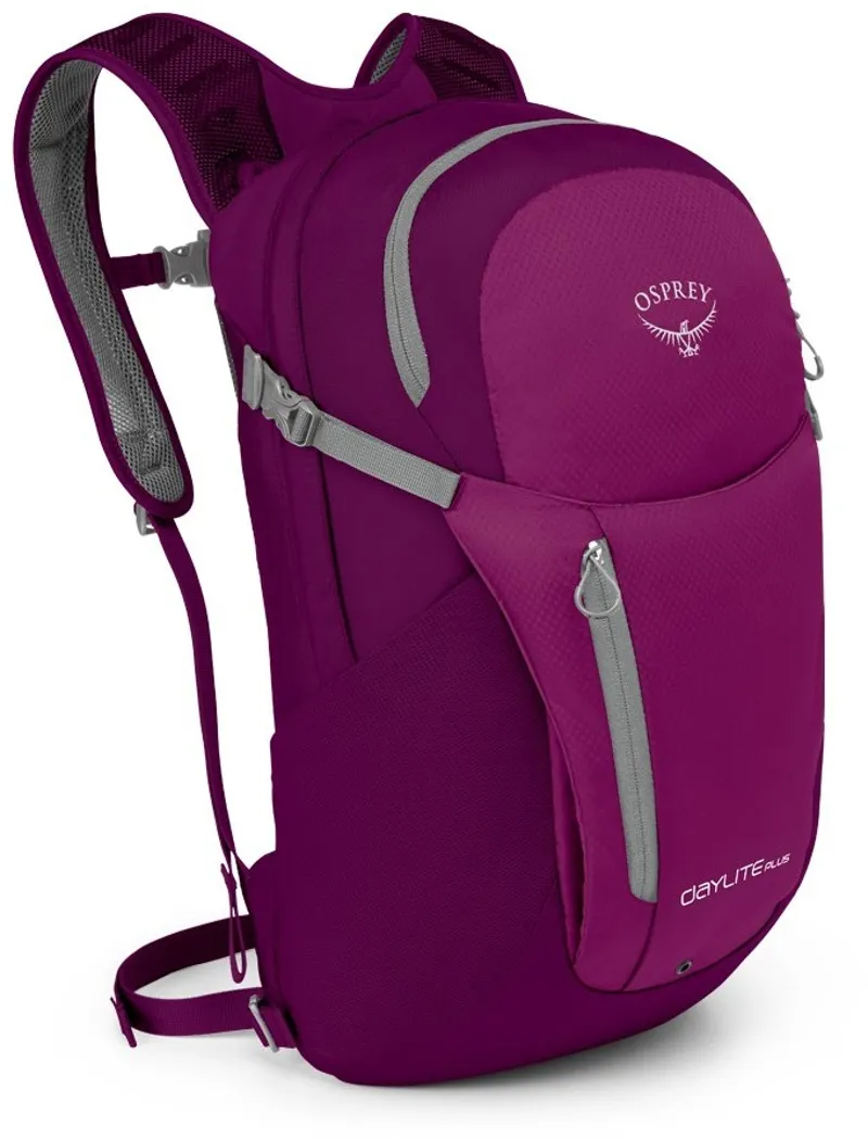 Osprey Daylite Plus Backpack Purple
