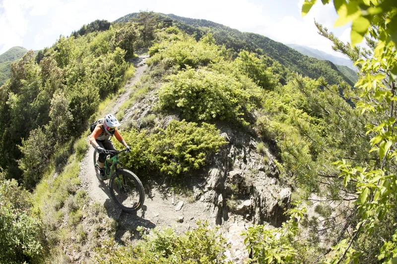 Juliana Strega C XE 27.5 Womens Mountain Bike 2018 Wicked-2