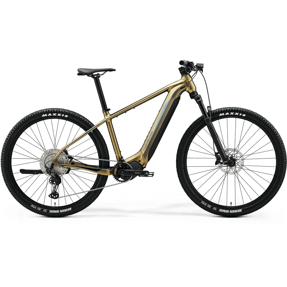 Merida eBig Nine 775 electric bike, photo from Leisure Lakes Bikes