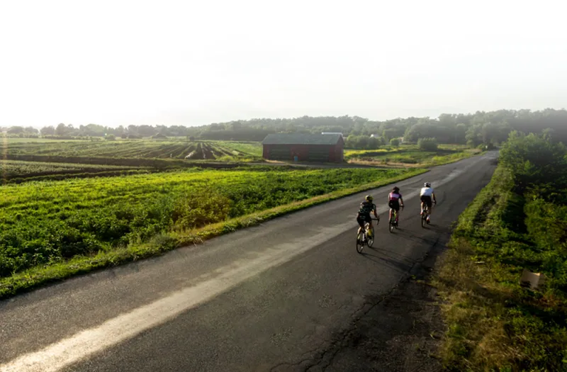 Cannondale Synapse Disc 105 Womens Road Bike 2017 Black/Yellow-1