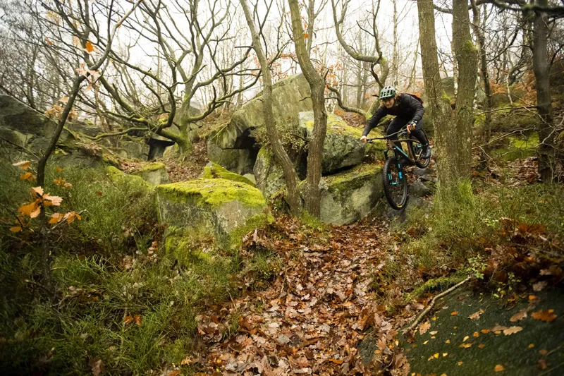 Santa Cruz Chameleon C R 29er Mountain Bike 2021 Gloss Black-3