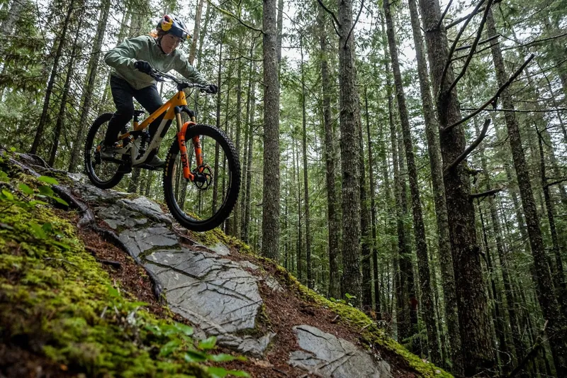 Norco Sight A1Mountain Bike 2024 Black/Gold-2