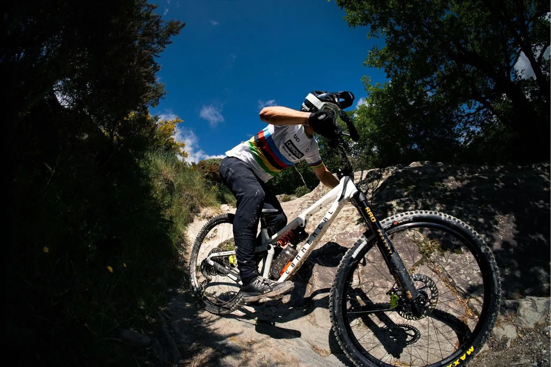 ALL THE BUSHING OVER LAP