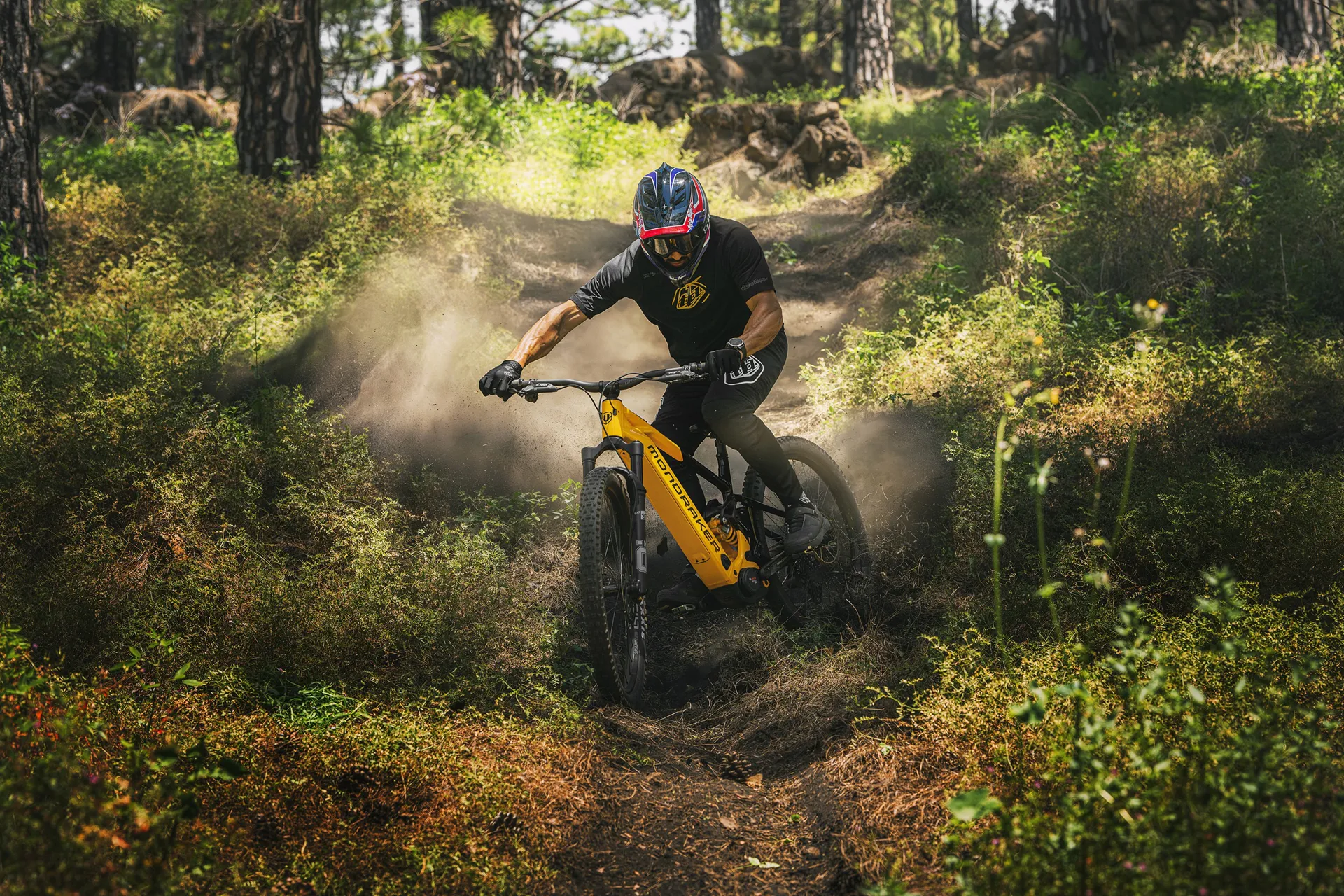 mondraker level is here