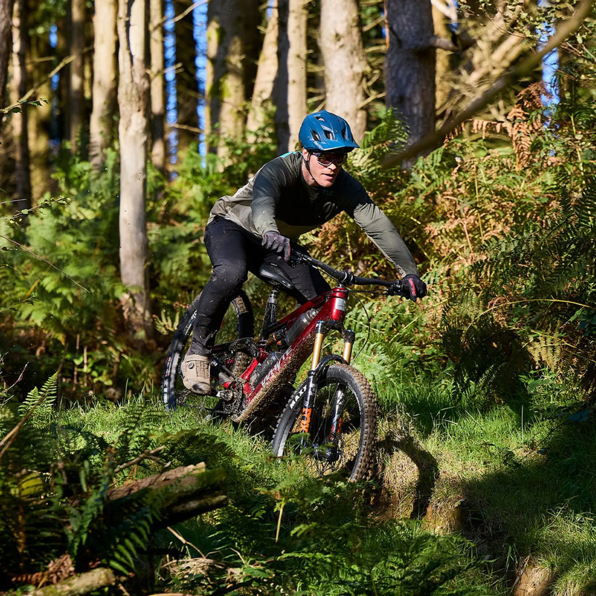 Refined Bosch performance and reliability