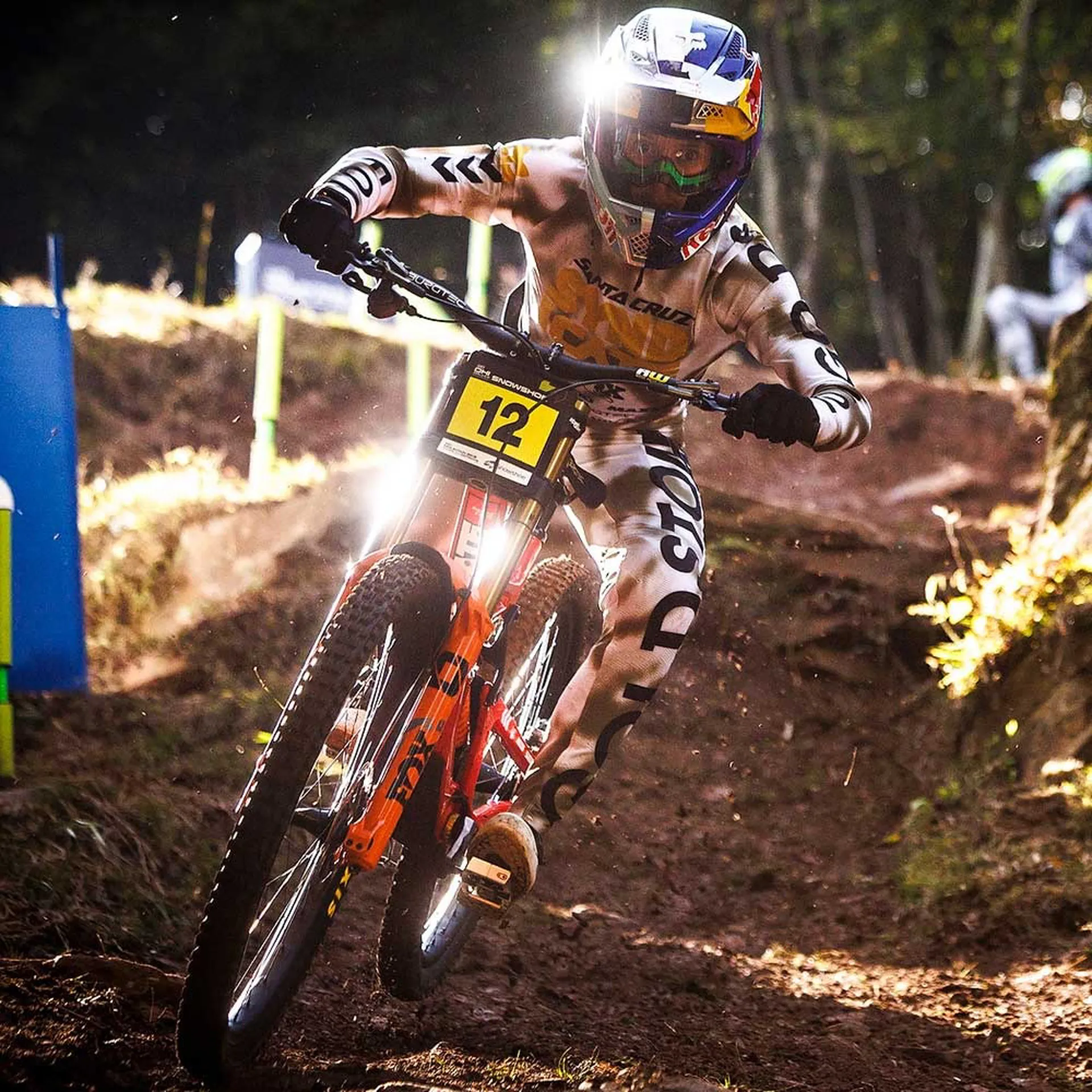 The Pieces Of The Puzzle