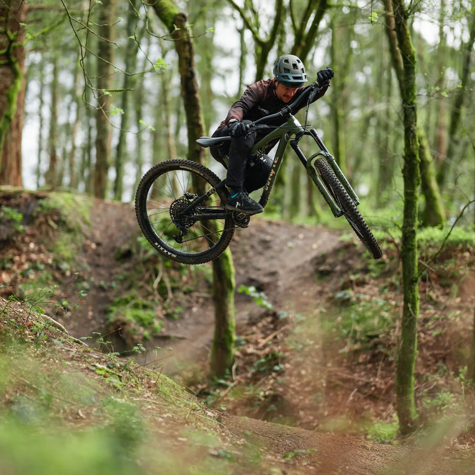 Ready for going wild