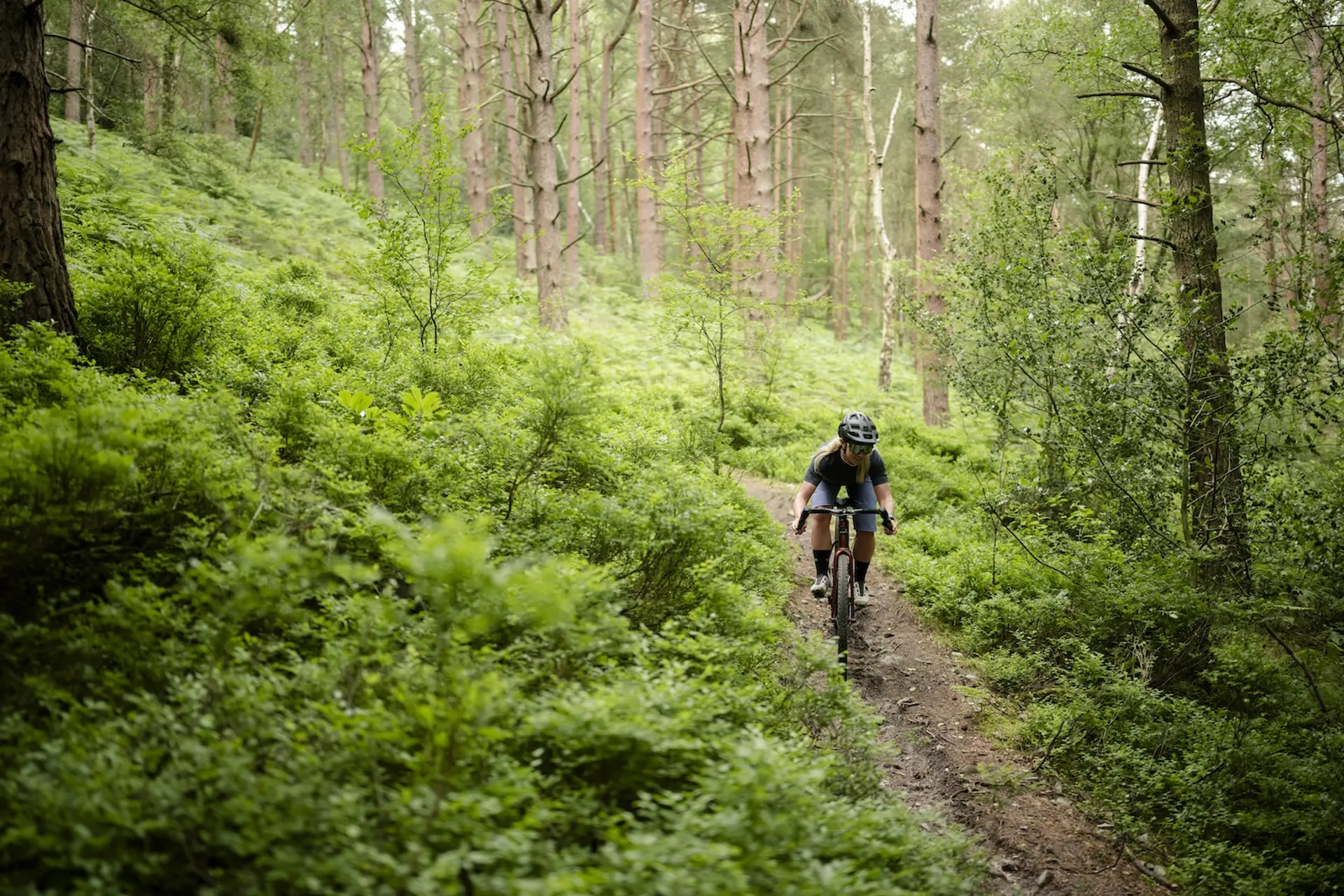 Go wherever the trail leads