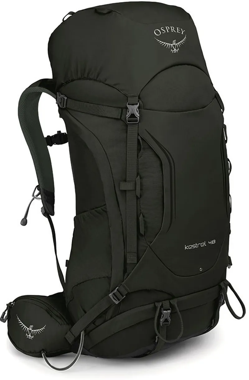 Osprey Kestrel 48 Backpack Picholine Green