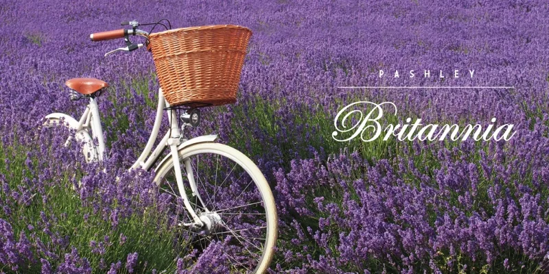 Pashley Britannia 5 Speed Womens Hybrid Bike 2019 Royal Red-1