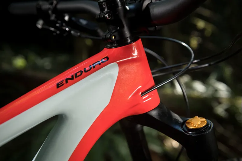 Specialized Enduro Pro Carbon 27.5 Mountain Bike 2017 Red/Blue-6