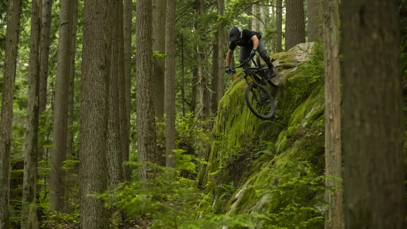 Yeti SB150 T Series Frameset 29er Carbon Mountain Bike 2022 Moss Green-3