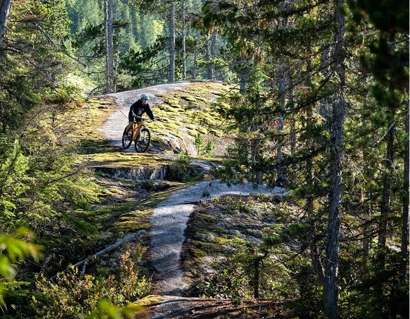 Santa Cruz Chameleon R 29 Aluminium SX Eagle 12spd 2022  Golden Yellow-6