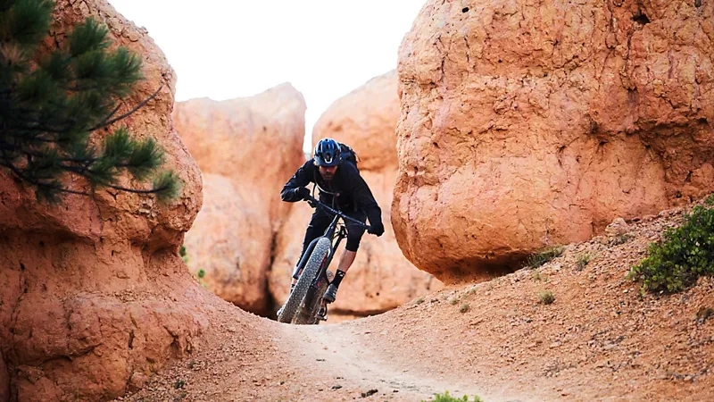 Trek Farley 9.6 GX Eagle 12Spd Carbon Fat Bike 2022 Red Fade/Navy/Teal-2