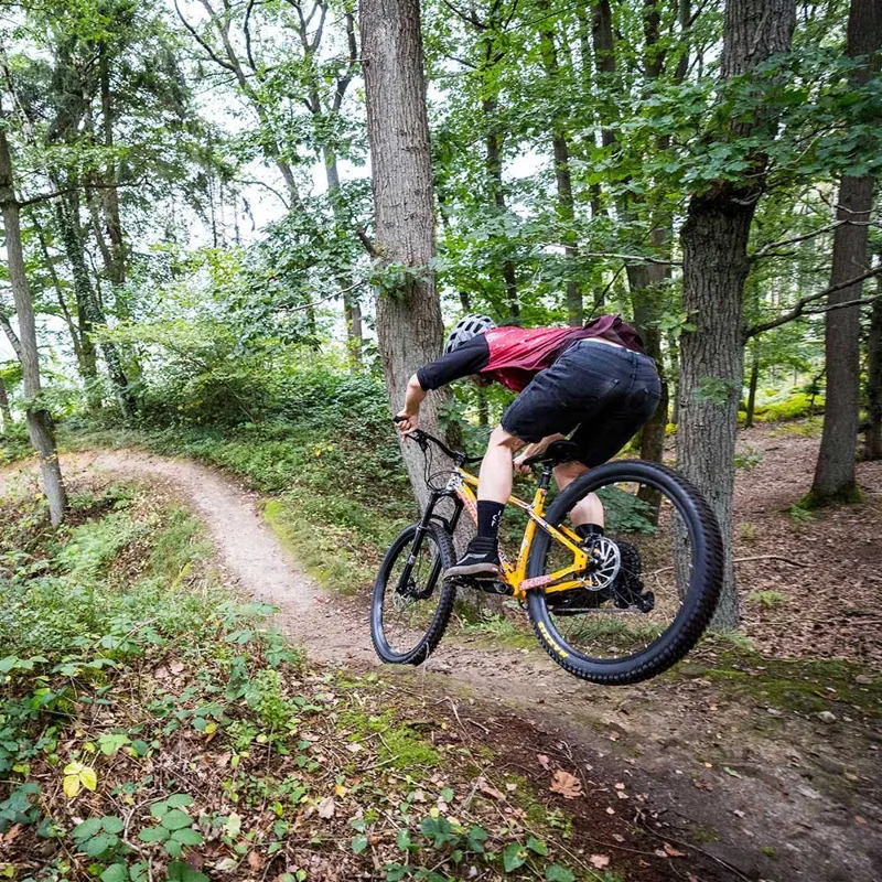 Santa Cruz Chameleon S 29er Aluminium Eagle 12Spd 2022 Golden Yellow-4