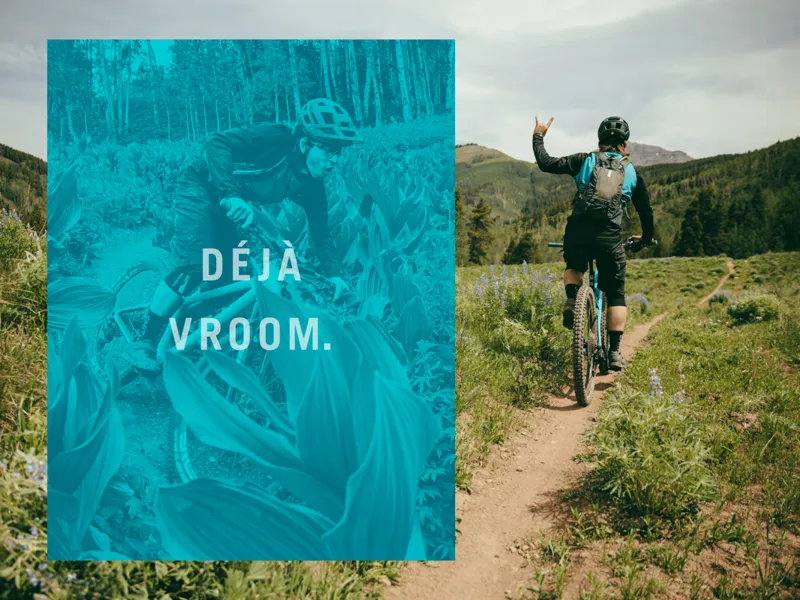 Yeti SB130 C2 12spd 29er Mountain Bike 2022 Raw Carbon-3