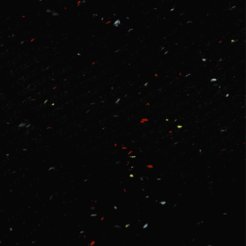 Burgtec Smugglers Beanie Black Speckle-3