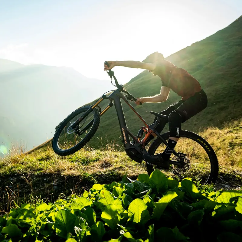 Orbea Wild H20 Mullet Electric Bike 2026 Bumblebee Yellow/Metallic Olive Green-1