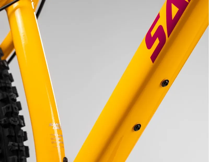 Santa Cruz Chameleon D 29er Aluminium Eagle 12Spd 2022 Golden Yellow-6