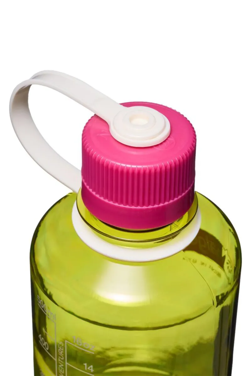 Nalgene Narrow Mouth Sustain Tritan Bottle 16oz/0.5L Endive/Fuschia Purple Cap-1