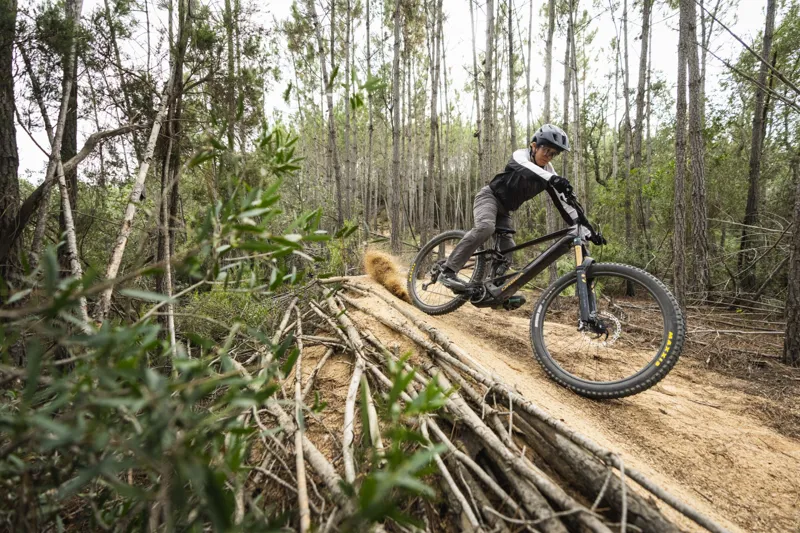 Orbea Wild M-Team Electric Mountain Bike 2023 Cosmic Carbon-2