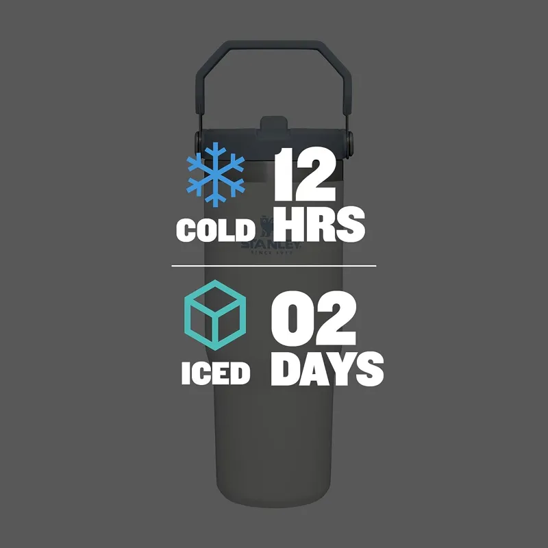 Stanley IceFlow Flip Straw Tumbler 0.89L Iris-5