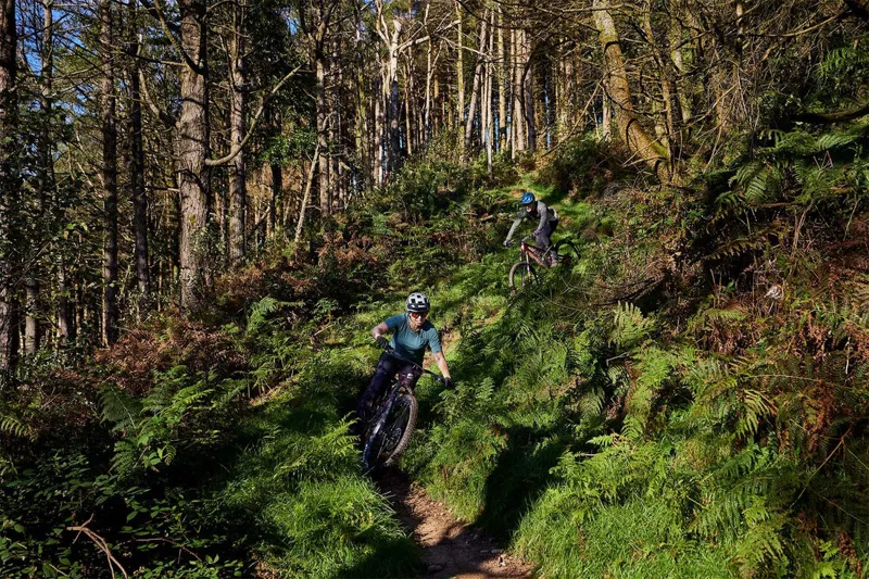 Whyte E-Lyte Evo Stag Works Electric Bike 2025 Gloss Ruby Red/Black Fade-6