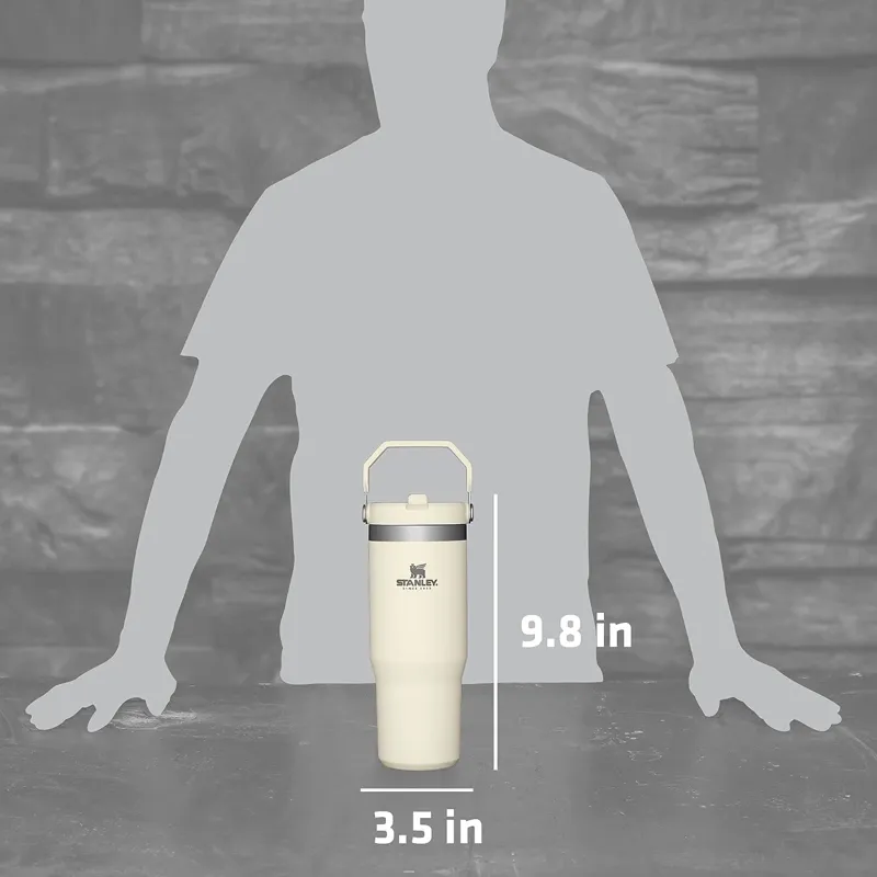 Stanley IceFlow Flip Straw Tumbler 0.89L Iris-6