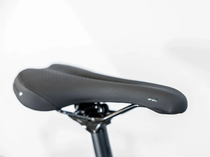 Trek Dual Sport 2 Equipped Hybrid Bike Mulsanne -6