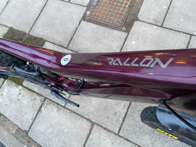 EX DEMO Orbea Rallon M20 XL Mountain Bike Metallic Mulberry-5