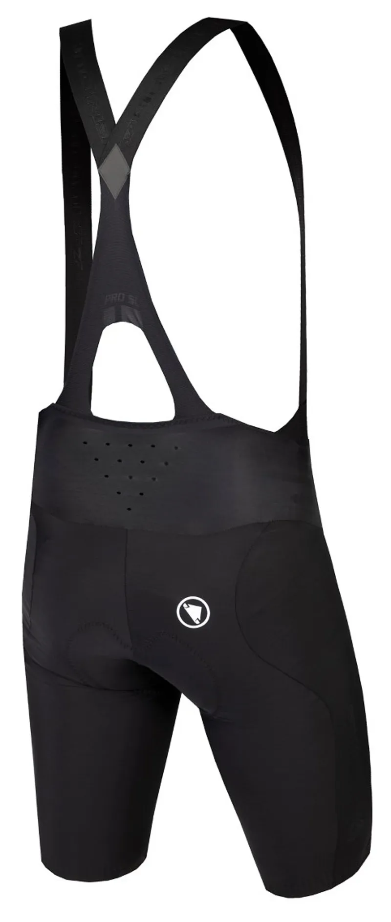 Endura Pro SL 3D Matrix EGM Bib Short Black-1