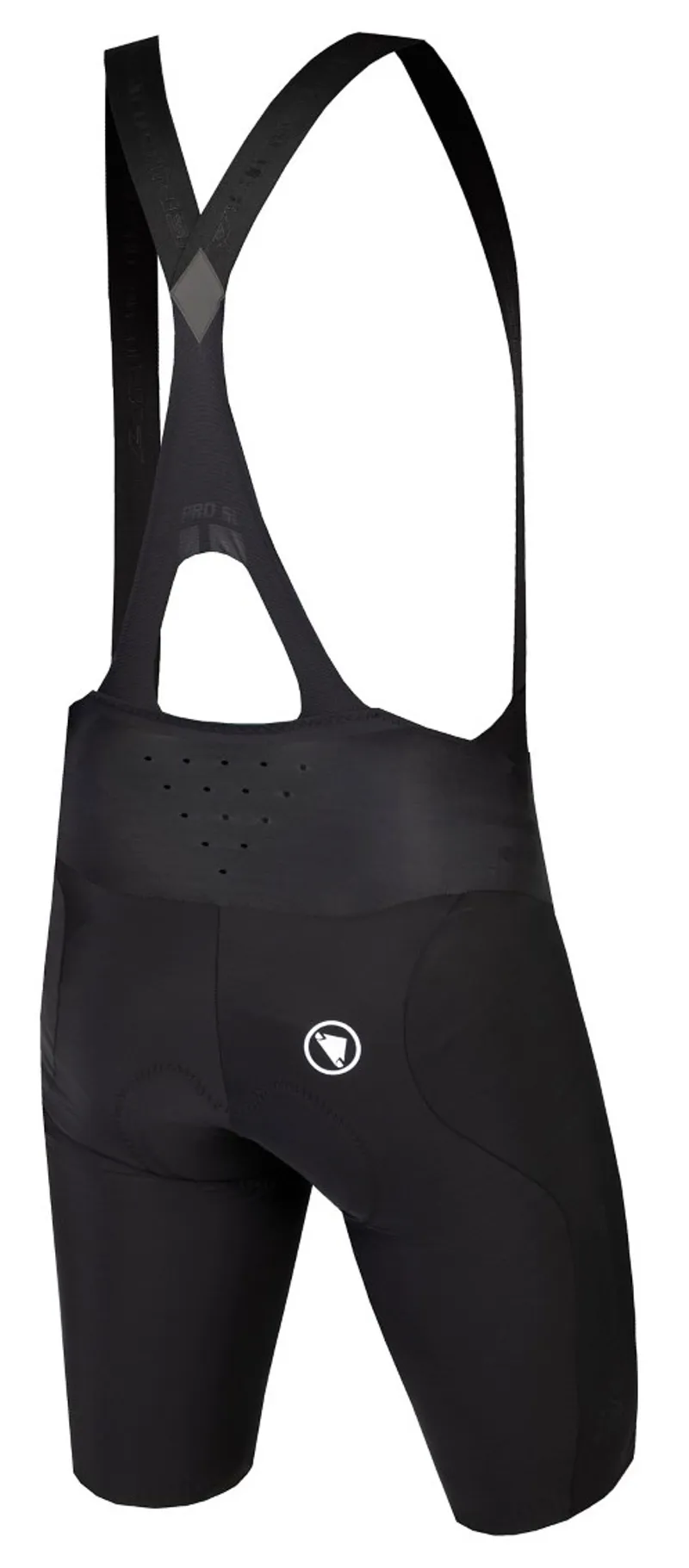 Endura Pro SL Short Leg EGM BibShort Black-1
