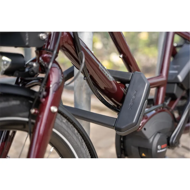 Hiplok DX1000 D-Lock-1