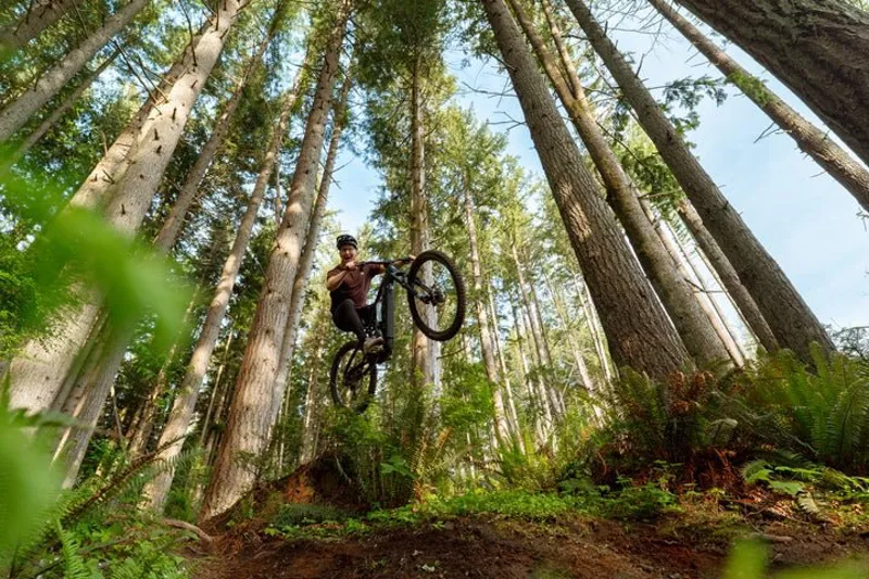 Marin Alpine Trail E2 Electric Bike 2027 Root Beer-3