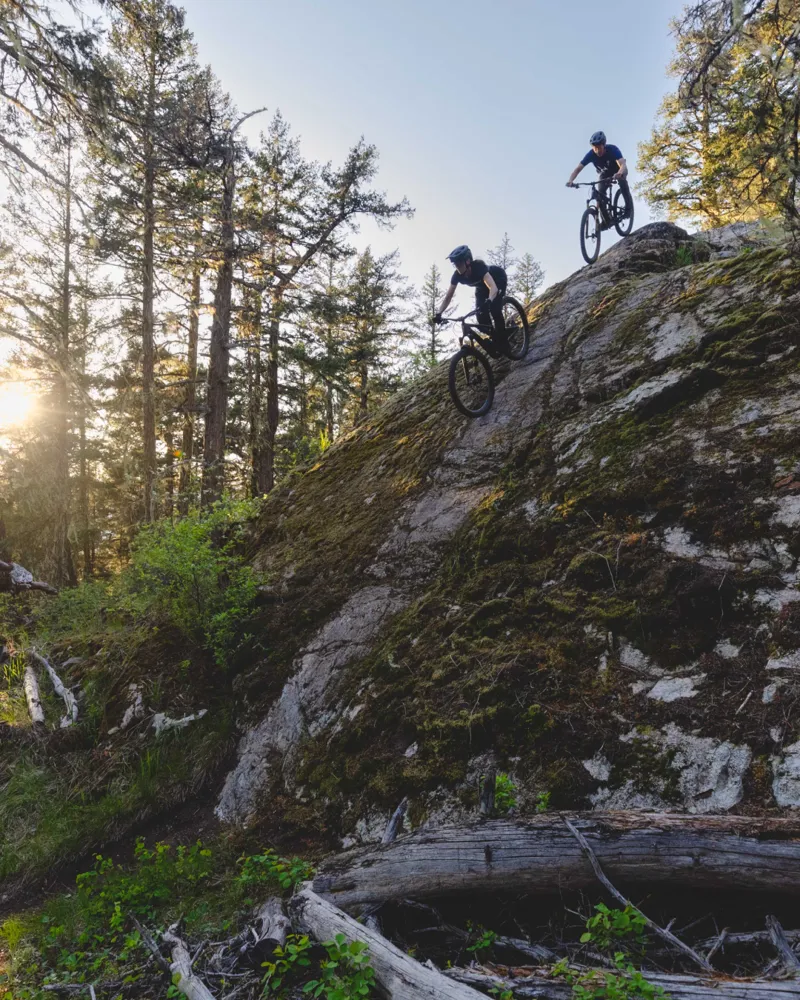 Specialized Stumpjumper Expert Carbon Mountain Bike 2025 Satin Electric Green/Satin Forest Green-5