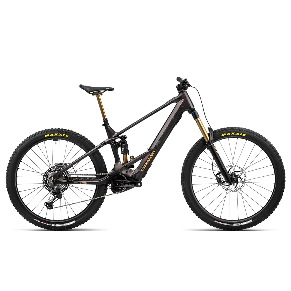 Orbea Wild M-LTD electric bike, photo from Leisure Lakes Bikes