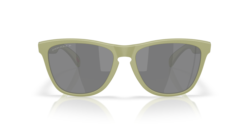 Oakley Frogskins Sunglasses Matt Fern/Prizm Black Polarized-1