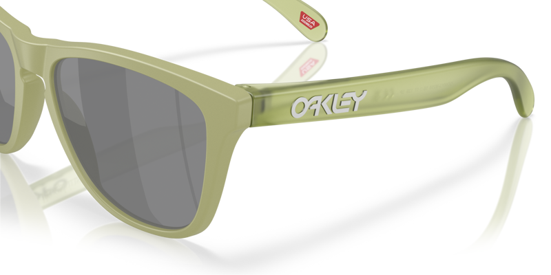 Oakley Frogskins Sunglasses Matt Fern/Prizm Black Polarized-5