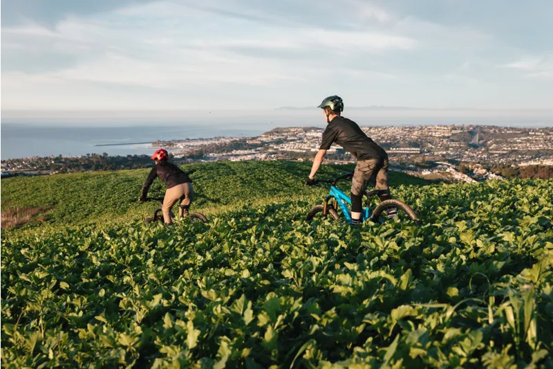 Troy Lee Designs Flowline Mips Mountain Bike Helmet Orbit Oasis Blue/Black-9