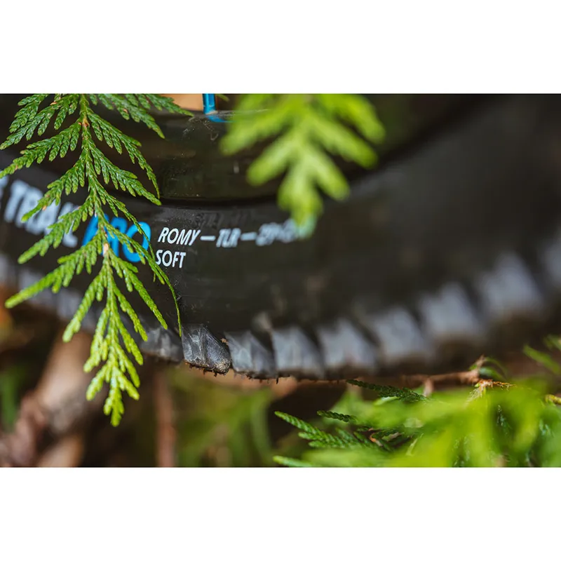 Schwalbe Romy Trail Performance Mid TLR E-50 29er Tyre Black-2