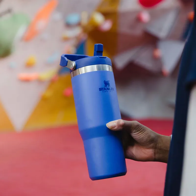 Stanley IceFlow Flip Straw Tumbler 0.89L Iris-1